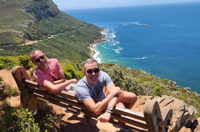 Penguins Cape of Good Hope, Cape Point Private Tour - False Bay viewpoints and the Cape’s strong winds