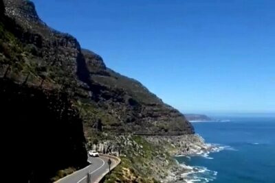 Penguins Cape of Good Hope, Cape Point Private Tour