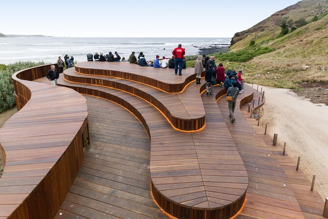 Phillip Island Day Trip from Melbourne with Penguin Plus Viewing Platform - Waiting for the little penguins
