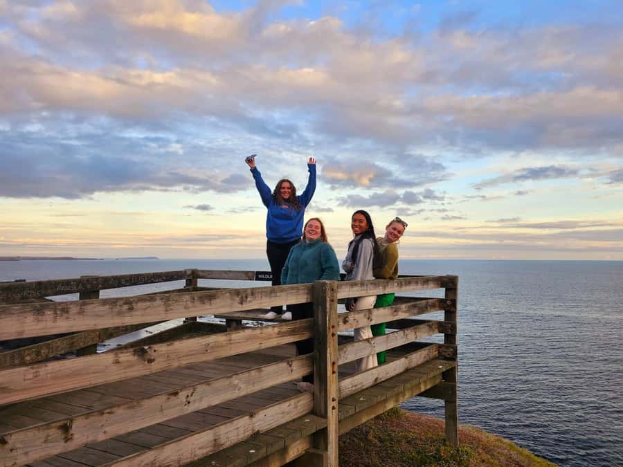 Phillip Island: Golden Hour Penguin Express Tour - Why this five-hour outing works