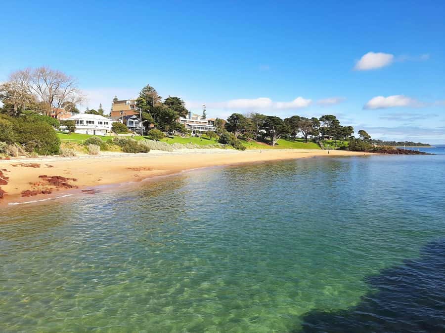 Phillip Island: Golden Hour Penguin Express Tour - Is $92 good value?
