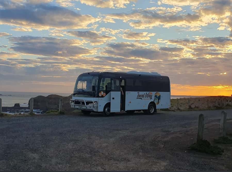 Phillip Island: Golden Hour Penguin Express Tour - Should you book the Golden Hour Penguin Express?