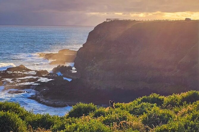 Phillip Island: Golden Hour Penguin Express Tour w/ Island Pickup - Driving through Summerlands at dusk