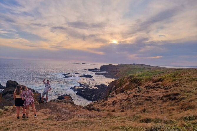 Phillip Island: Golden Hour Penguin Express Tour w/ Island Pickup - The guide can make the difference