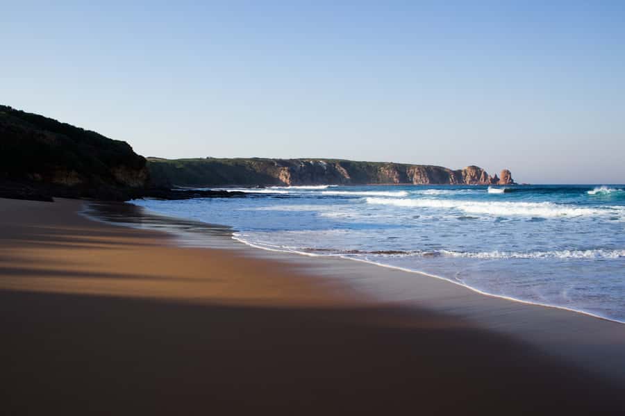 Phillip Island: Hike and Penguin Parade - 8 pax Small Tour - Key points to know before booking
