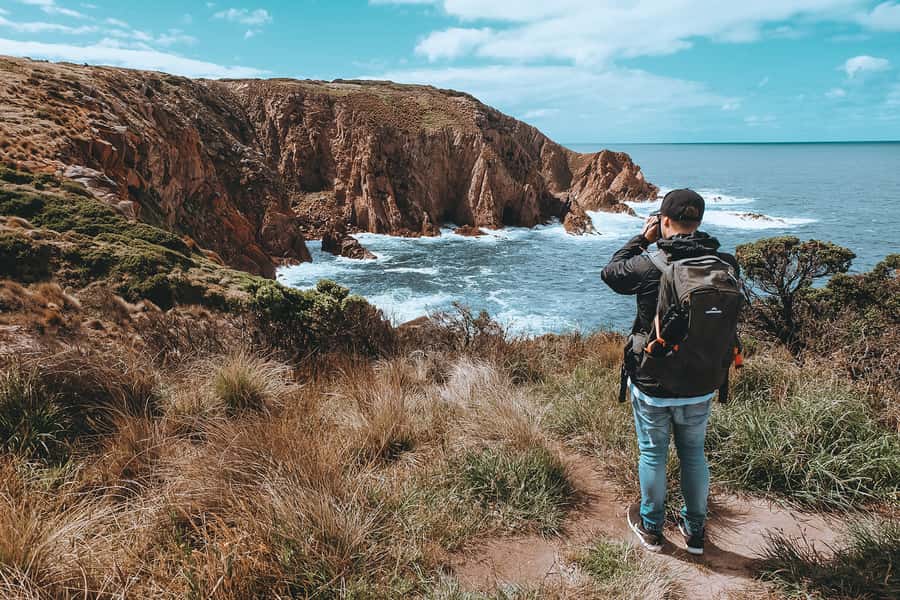 Phillip Island: Hike and Penguin Parade - 8 pax Small Tour - Is the price fair for what you receive?