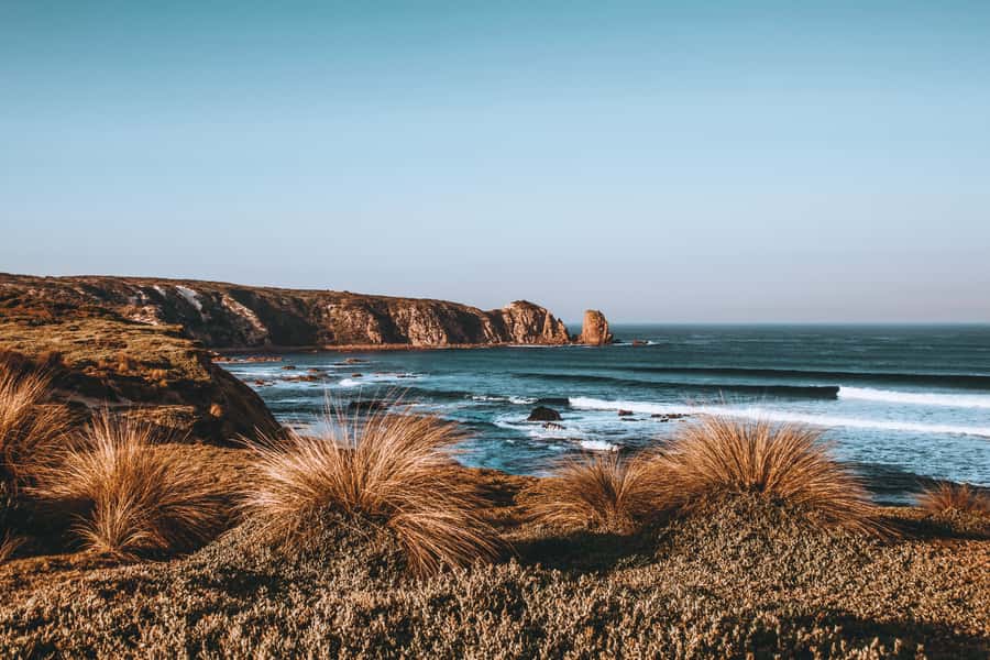 Phillip Island: Hike and Penguin Parade - 8 pax Small Tour - Why this Phillip Island day trip works
