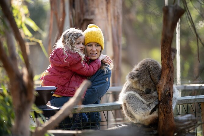 Phillip Island Penguin and Koala Highlights Day-Trip from Melbourne - Starting in Melbourne and settling into the coach