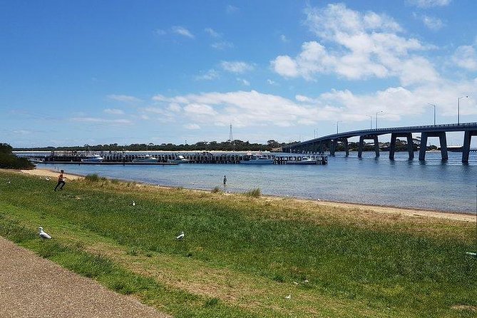Phillip Island Penguin and wildlife Tour - A realistic look at the 12-hour schedule
