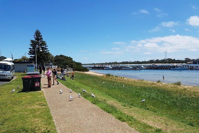 Phillip Island Penguin and wildlife Tour - What the price includes, and what it does not
