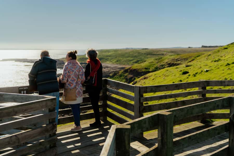 Phillip Island Penguin Direct Sunset Tour - The 2.5-hour ride to Phillip Island