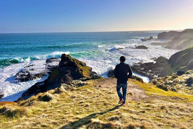Phillip Island & Penguin Parade Afternoon Eco Tour from Melbourne - What makes this Phillip Island tour worth considering