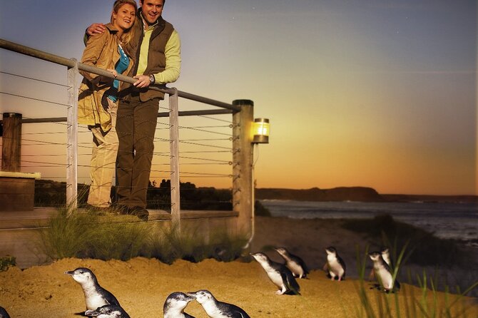 Phillip Island & Penguin Parade Afternoon Eco Tour from Melbourne - Cape Woolamai offers a summer beach stop