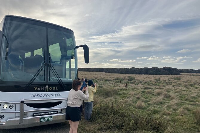 Phillip Island Penguin Parade Express Tour from Melbourne - Extra stops may change the shape of the day