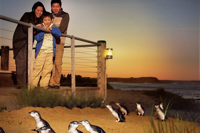 Phillip Island Penguin Parade Express Tour from Melbourne - Guides can make the long coach ride enjoyable