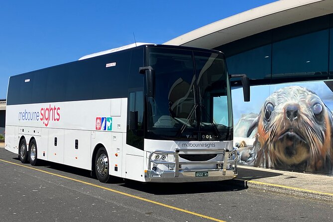 Phillip Island Penguin Parade Express Tour from Melbourne - What to pack for wind, darkness, and a late return