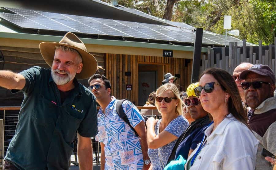 Phillip Island Penguin Parade with Expert Local Guide - Who will enjoy this Phillip Island tour?