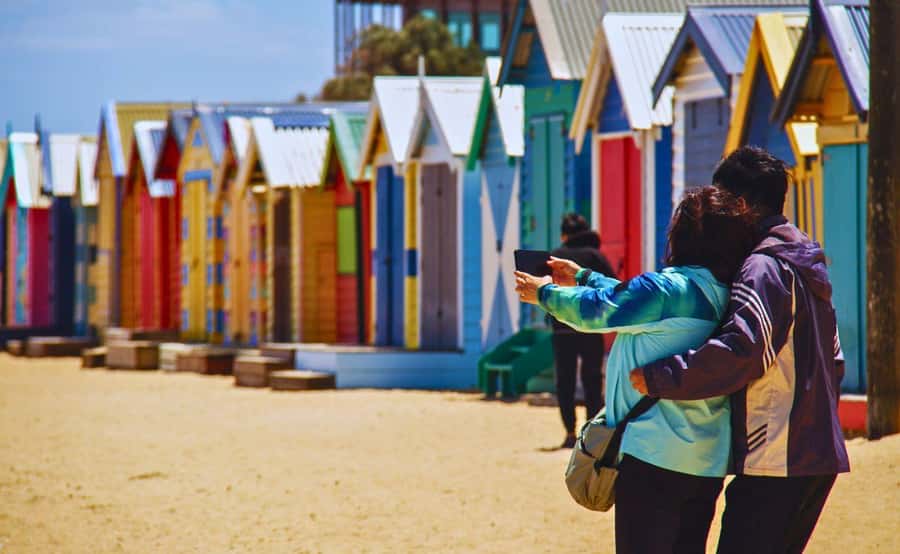 Phillip Island Penguin Parade with Expert Local Guide - Moonlit Sanctuary: Australia’s wildlife introduction