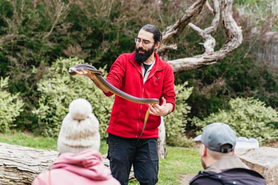 Phillip Island Penguin Parade with Expert Local Guide - Cape Woolamai and the island’s open coast