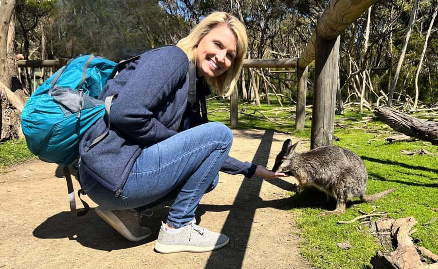 Phillip Island Penguin Parade with Expert Local Guide - The Nobbies Boardwalk: cliffs, sea, and possible wildlife