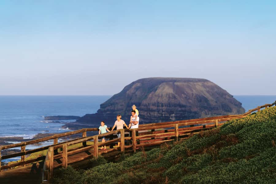 Phillip Island: Penguins and Wildlife Full-Day Tour - Koalas at the Conservation Reserve