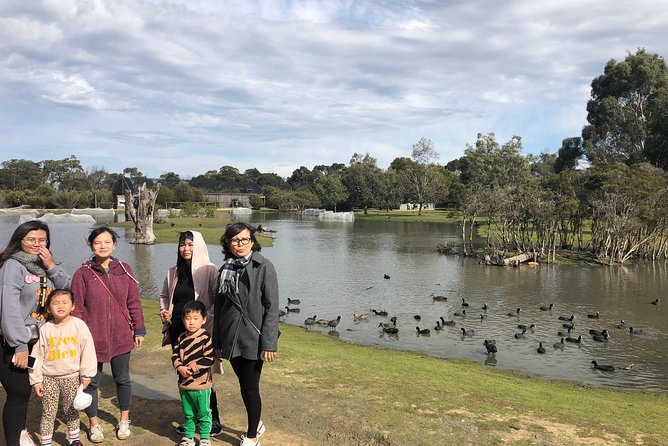 Phillip Island Penguins Private Adventure - The Nobbies brings cliffs, boardwalks, and seabird views