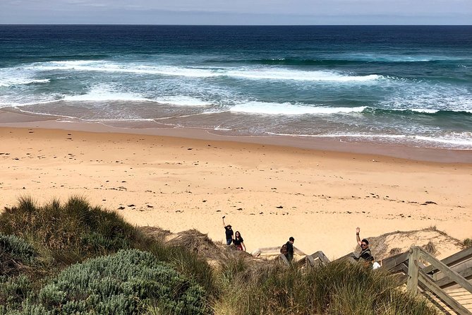Phillip Island Penguins Private Adventure - Cape Woolamai begins the coastal portion
