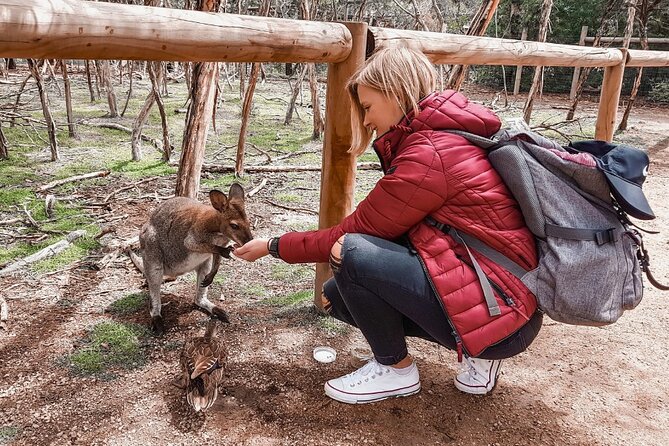 Phillip Island Penguins & Wildlife Day Tour from Melbourne - Cape Woolamai adds sand, surf, and a change of pace