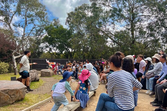 Phillip Island Penguins & Wildlife Day Tour from Melbourne - Food, breaks, and the reality of a late return