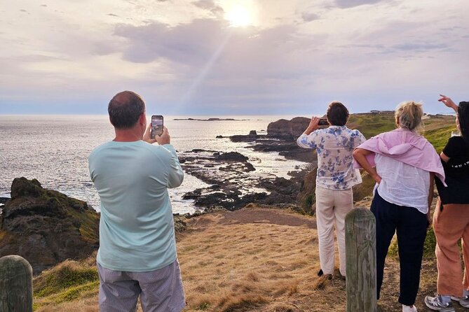 Phillip Island Wildlife Cruise and Penguin Tour from Melbourne - Cowes gives you the day’s main choice
