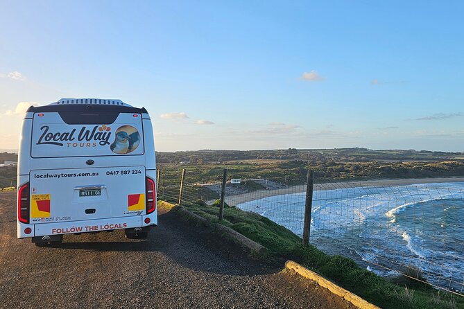 Phillip Island Wildlife Cruise and Penguin Tour from Melbourne - The Penguin Parade is the evening payoff