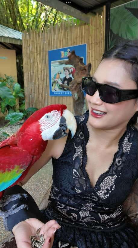 Phuket: Bird Park Entry Ticket - Key points to know before visiting
