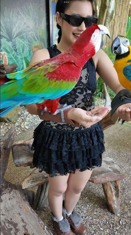 Phuket: Bird Park Entry Ticket - Open-air comfort in Phuket weather