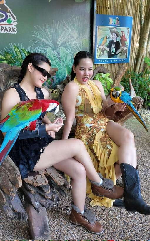 Phuket: Bird Park Entry Ticket - What the $28 ticket really buys