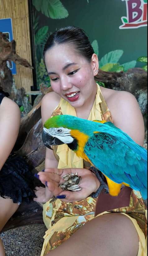 Phuket: Bird Park Entry Ticket - Meeting the birds at close range