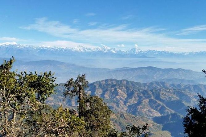 Phulchoki bird-watching tour - Practical Advice for a Better Birding Day