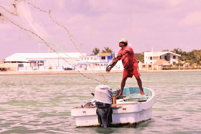 Pink Lake and Flamingo Sightseeing in Rio Lagartos - Transportation is the biggest decision