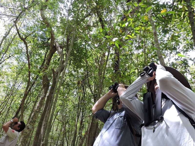 Playa del Carmen: Guided Birdwatching Hike - Coffee, Fruit, and a Practical Midmorning Break