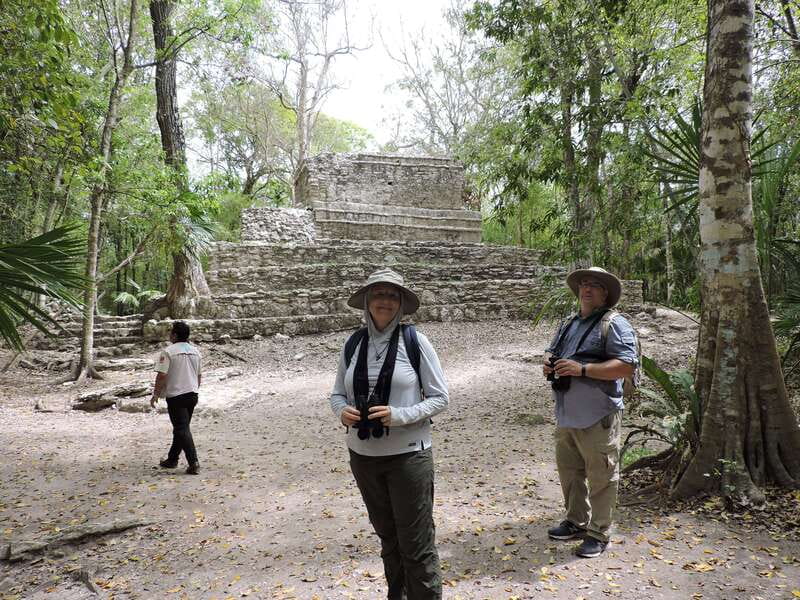 Playa del Carmen: Private Morning Birdwatching Tour - What is included, and what you should bring