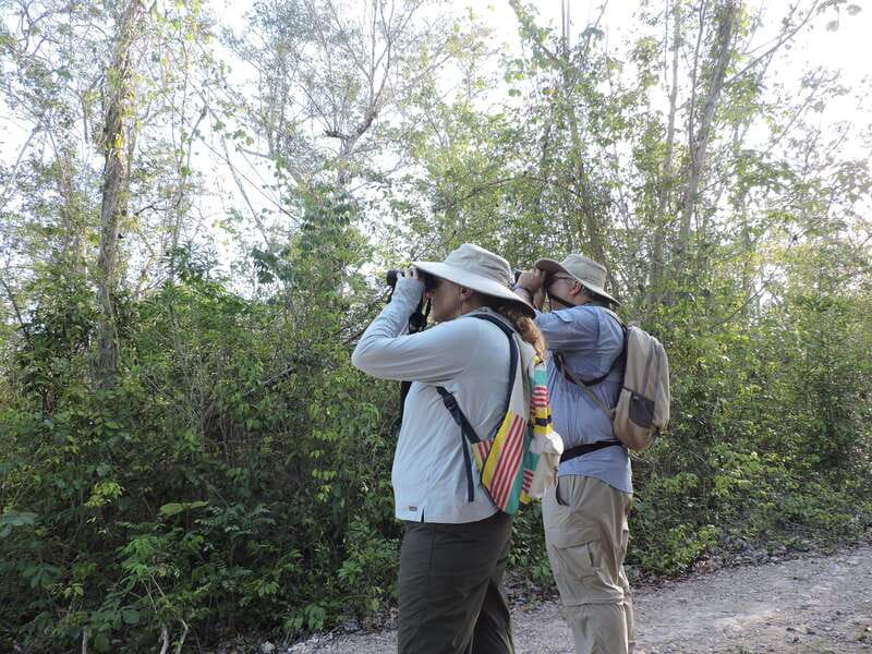 Playa del Carmen: Private Morning Birdwatching Tour - Should you book the private birdwatching tour?