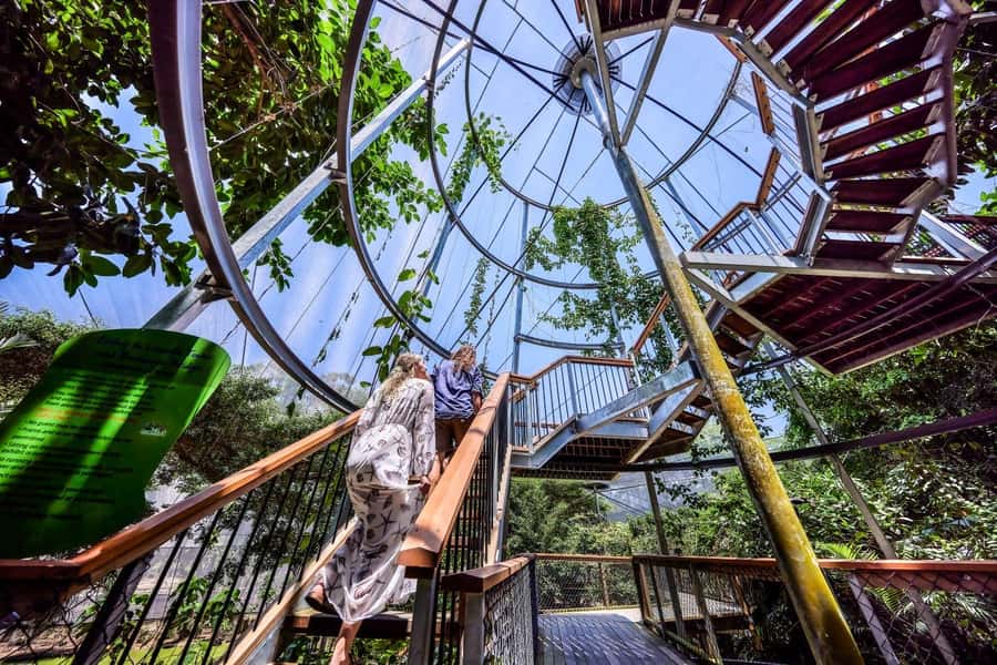Port Douglas: Breakfast with the Birds - Key points before you book