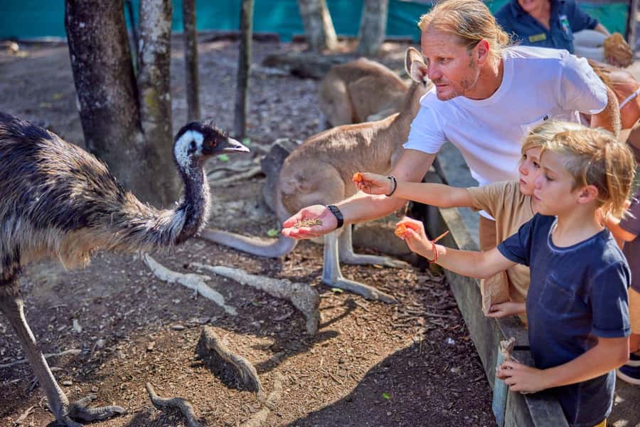Port Douglas: Breakfast with the Birds - What the morning at Wildlife Habitat feels like