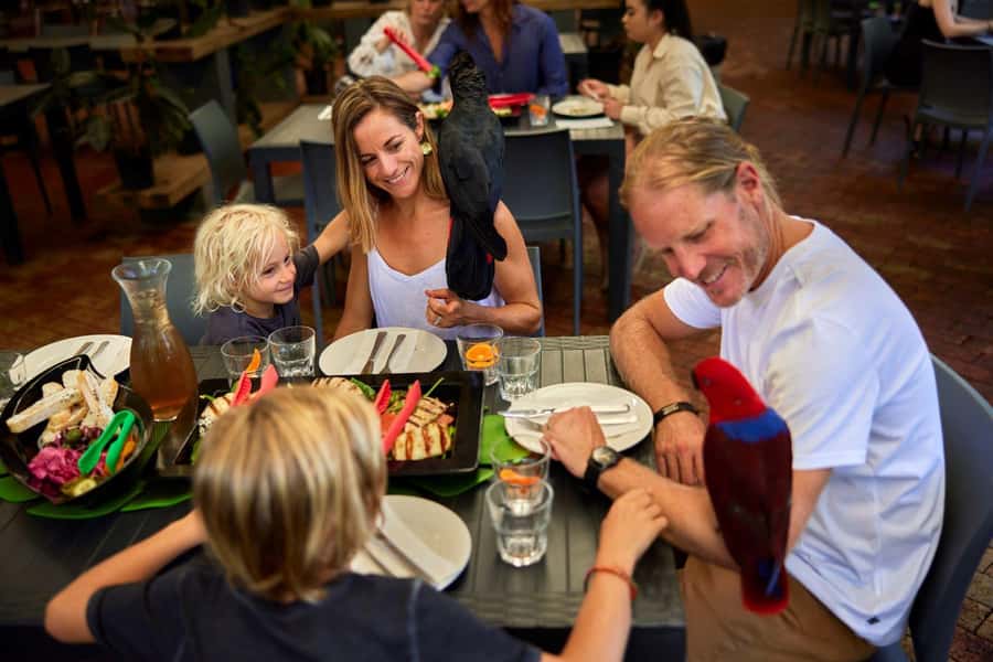 Port Douglas: Breakfast with the Birds - Who gets the most from the $62 price