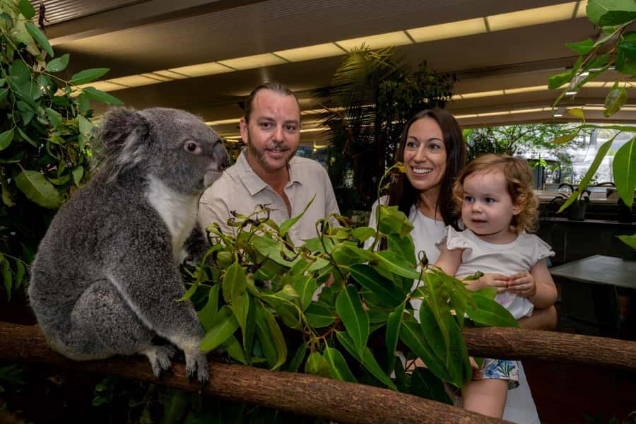 Port Douglas: Breakfast with the Birds - Practical details that shape the visit
