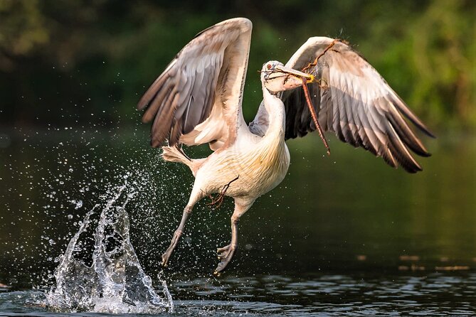 Prek Toal Birds Sanctuary and floating Village Private Day Tour - Hotel pickup and the road to Tonle Sap