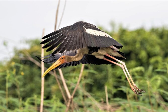Prek Toal Birds Sanctuary and floating Village Private Day Tour - What the $170.05 price really buys