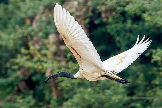 Prek Toal Birds Sanctuary and floating Village Private Day Tour - Crossing Tonle Sap for about two hours