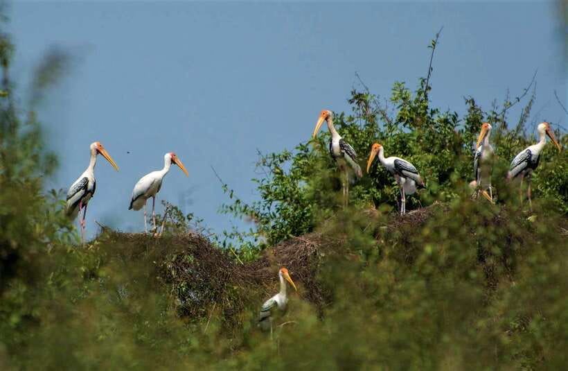 Prek Toal Birds Sanctuary & floating Village Private Tour - The return route and final stop