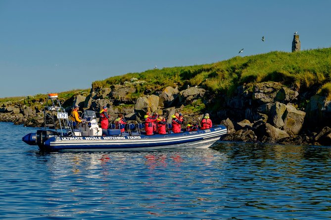 Premium Small-Group Puffin & Bird Watching tour from Reykjavík - Who should book this tour?