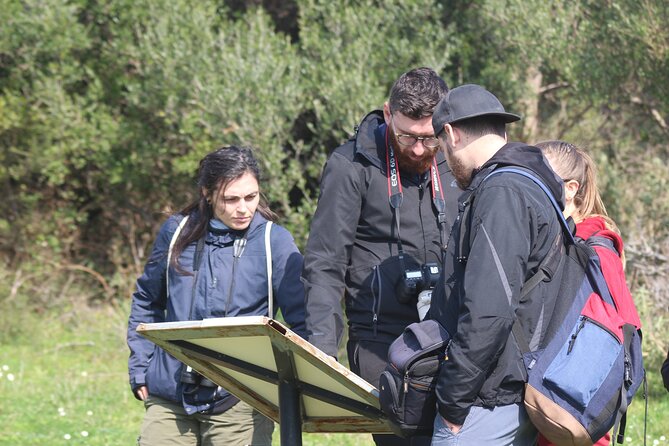 Private Birding Tour in Albania - Starting at Rinas Airport in Tirana